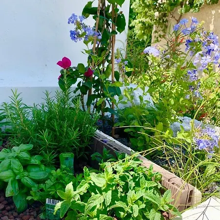 De Entre Et Campagne 耶尔